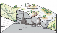 Monticino05_a_200_200.png 