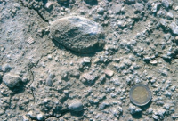 Monticino09_a_200_200.png 