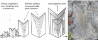 Monticino12_a_200_200.png 