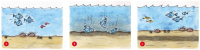 Monticino15_a_200_200.png 